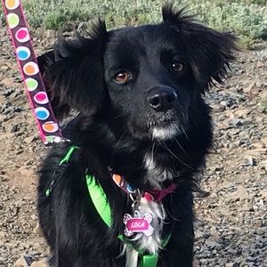 Meet your Posher, Susan